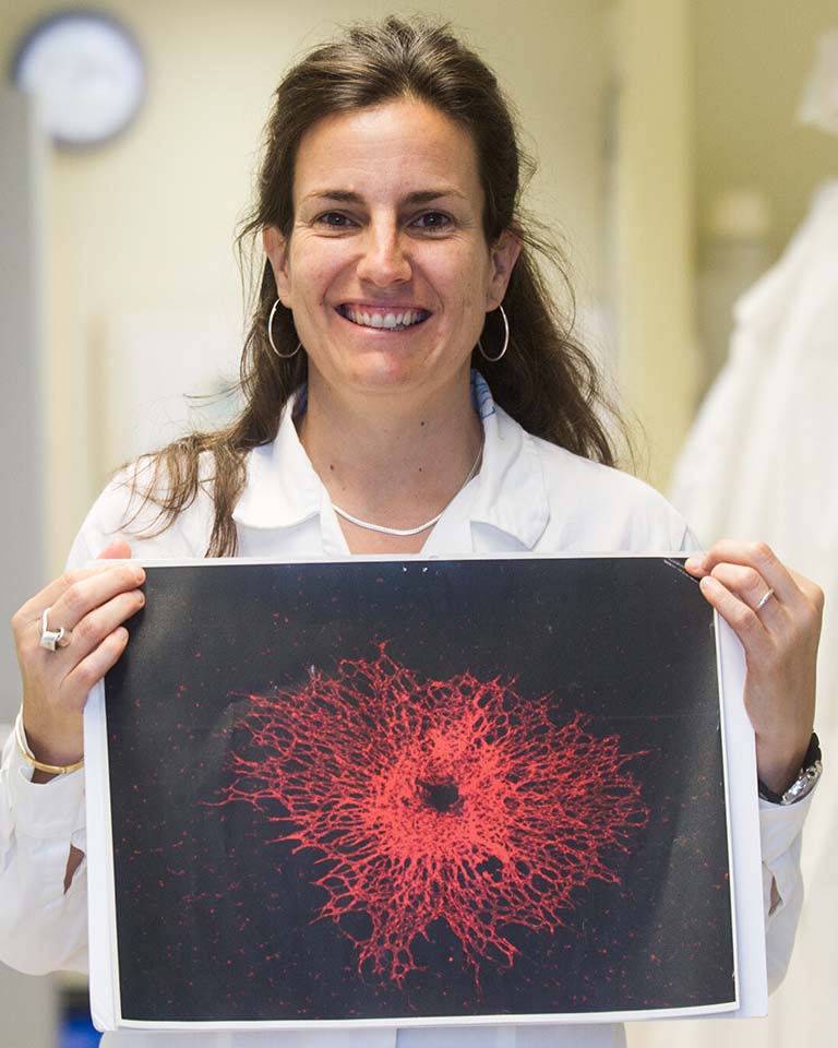 MARIONA_GRAUPERA_BECA_BIOMEDICINA_019 copia