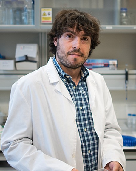 Gabriel S. Lozano Barbero, científico titular del Instituto de Ciencia de Materiales de Sevilla (ICMS – CSIC)